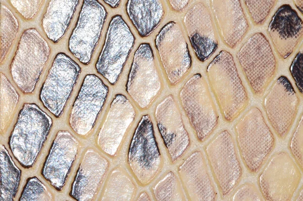 Textura de patrón inconsútil de piel de serpiente —  Fotos de Stock