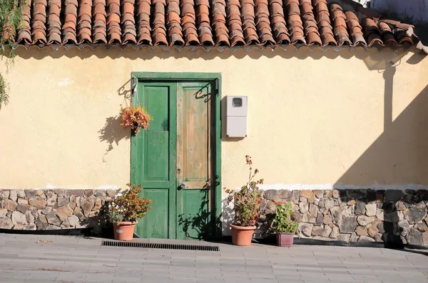 Old Green Door — Stock Photo, Image