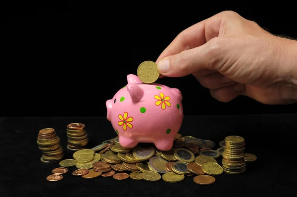 Pink Pig Piggy Bank — Stock Photo, Image