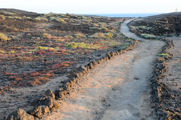 Pathway in the Volcanic Desert — Stock Photo, Image