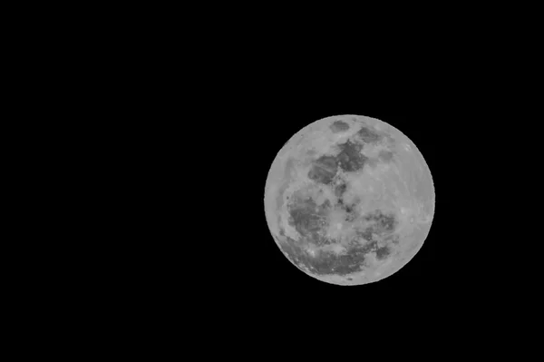 Luna llena — Foto de Stock