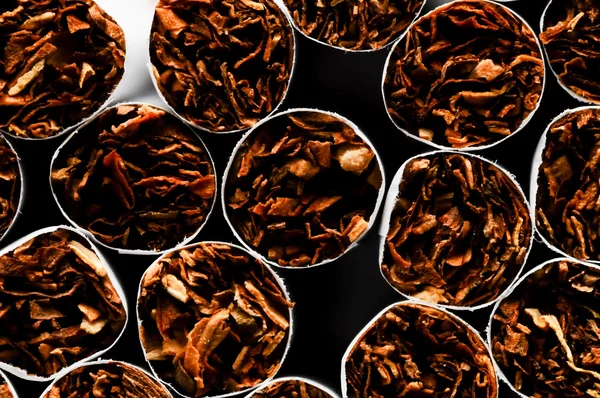 タバコ産業 — ストック写真