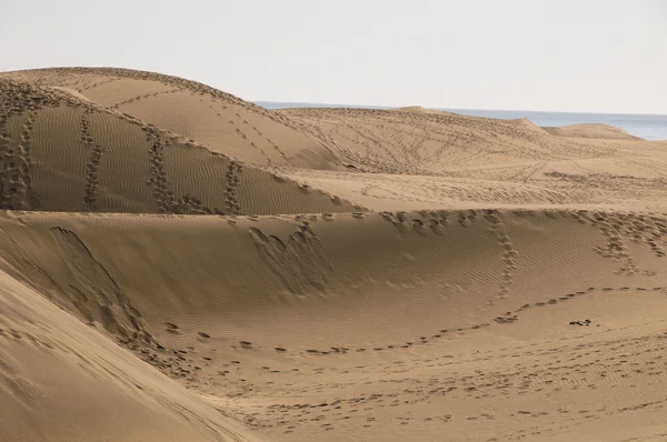 Desierto de dunas de arena —  Fotos de Stock