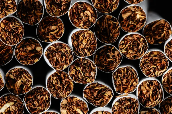 Tobacco Industry — Stock Photo, Image