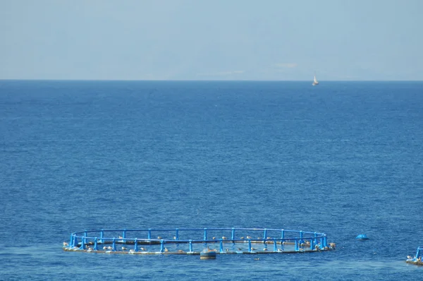 Ferme piscicole dans l'océan Atlantique — Photo