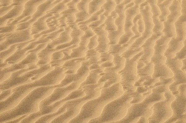 Sand Dune Desert Texture — Stock Photo, Image