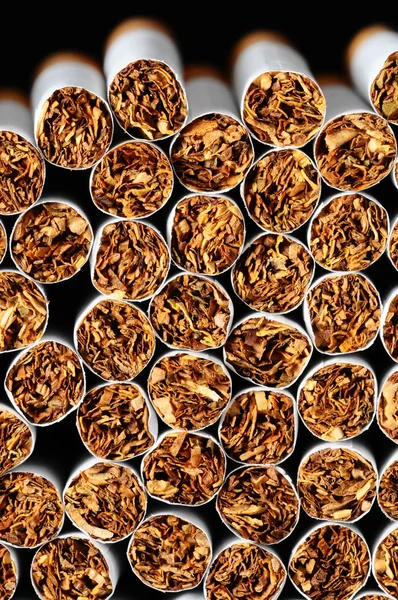 Tobacco Industry — Stock Photo, Image