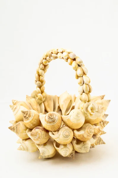 Seashell vas närbild — Stockfoto