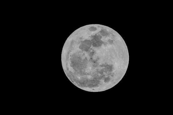 Vollmond — Stockfoto