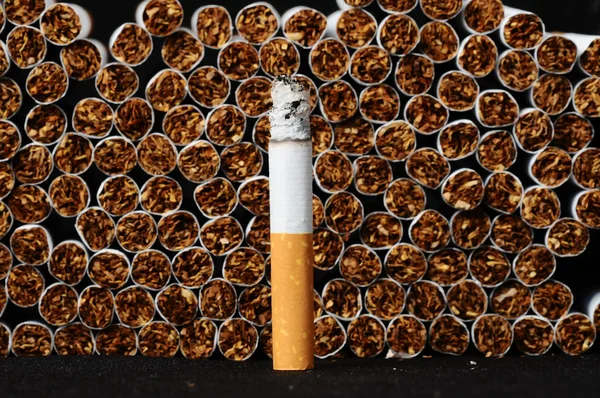 Tobacco Industry — Stock Photo, Image