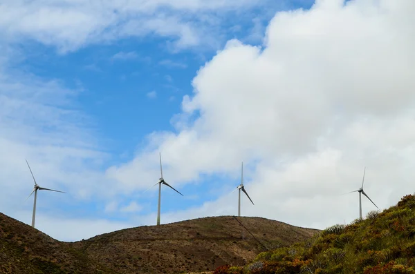 Energía eólica — Foto de Stock