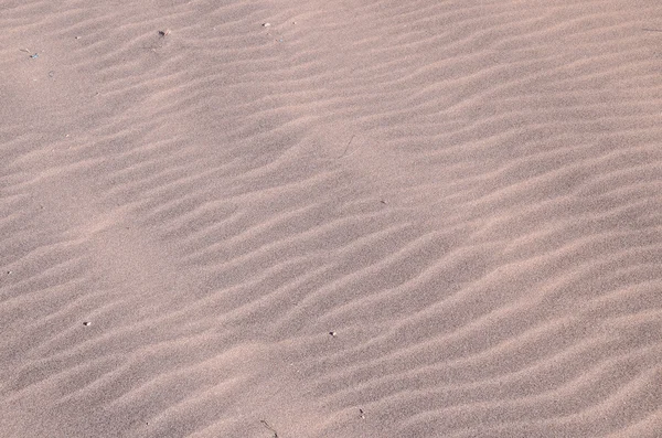 Берег Сухой Лавы — стоковое фото