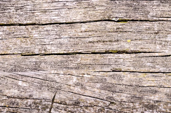 Grunge vloerplanken — Stockfoto