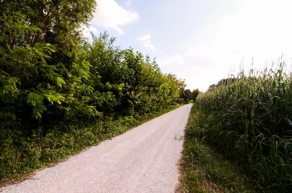 Campagna Strada sporca — Foto Stock