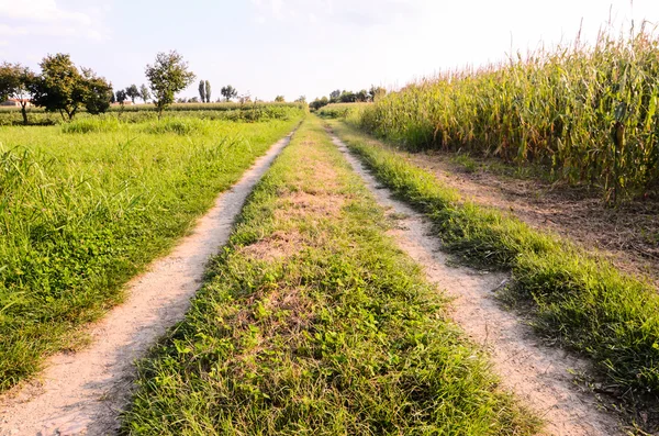 Countryside Gravel Road — Stock Photo, Image