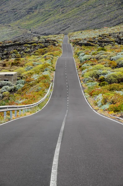 Long Lonely Road — Stock Photo, Image