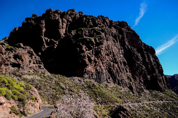 グラン・カナリアの火山岩層 — ストック写真