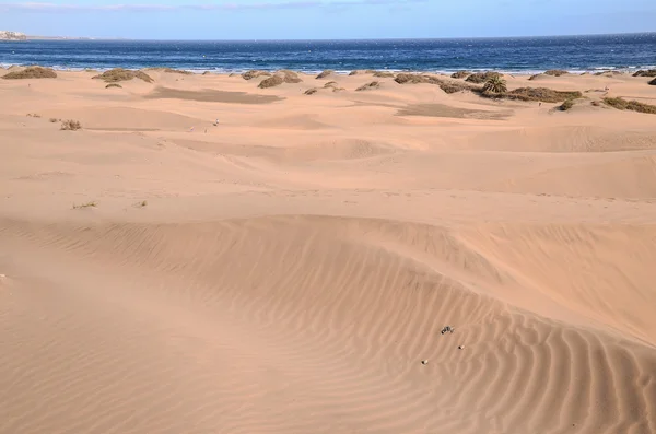 Deserto delle dune di sabbia a Maspalomas — Foto Stock