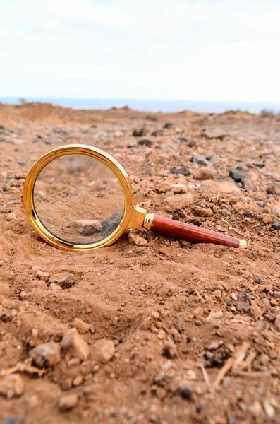 Lupa abandonada en el desierto —  Fotos de Stock