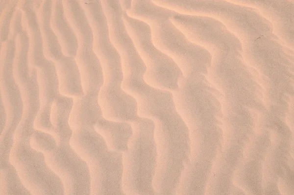 Texture Sand — Stock Photo, Image