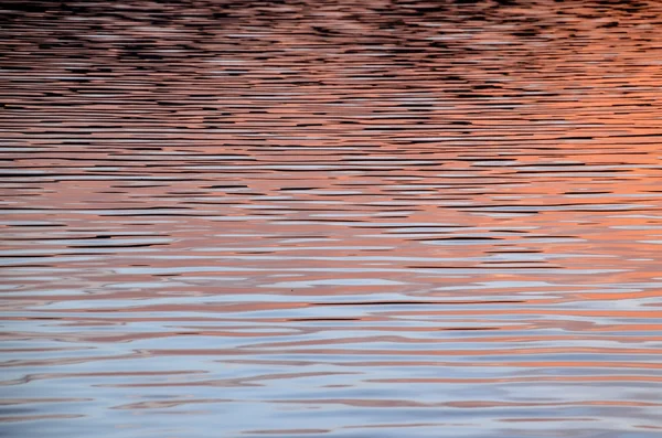 Günbatımı su doku — Stok fotoğraf