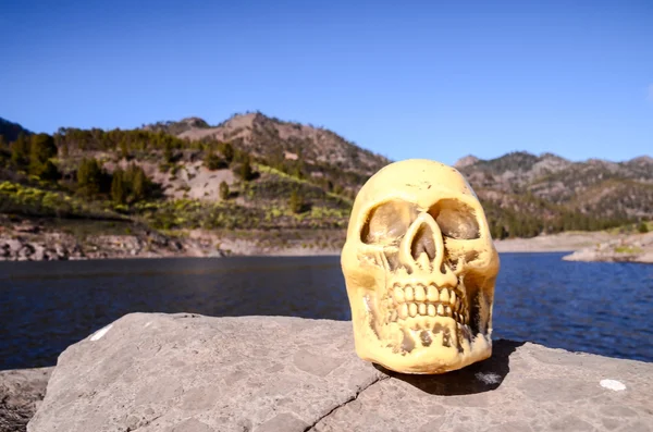 Abandoned Human Skull — Stock Photo, Image