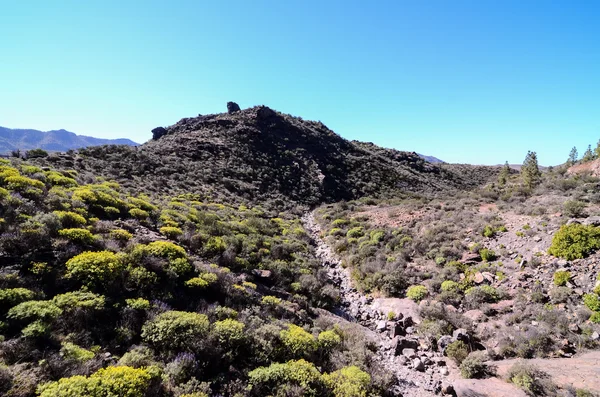 Gran Valle —  Fotos de Stock