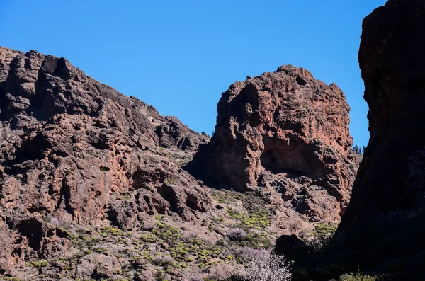 Formación Basáltica de Roca Volcánica en Gran Canaria —  Fotos de Stock