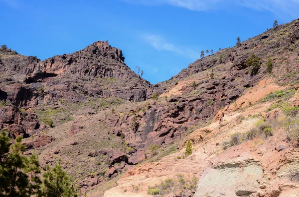 Gran Canaria火山岩玄武岩组 — 图库照片