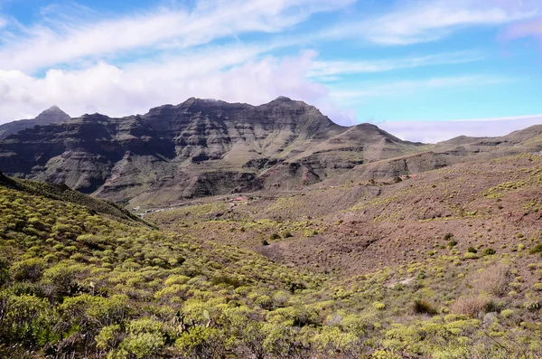 Volcanic Rock Basaltic Formation in Gran Canaria — Stock Photo, Image