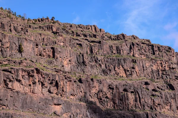 Formación Basáltica de Roca Volcánica en Gran Canaria —  Fotos de Stock