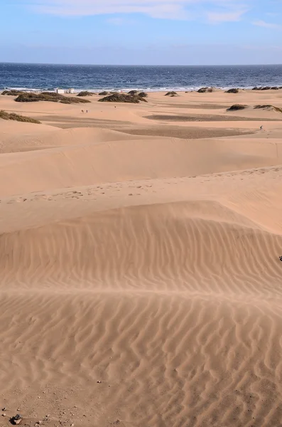 Sand Dune woestijn in Maspalomas — Stockfoto