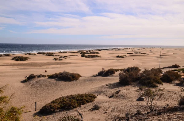 Playa del Ingles Tropical Beach — Stock Photo, Image