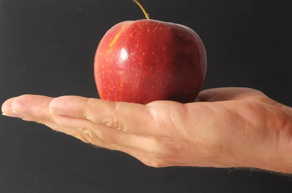 Apple в руке — стоковое фото