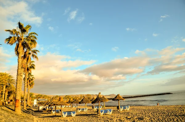 Tropical Beach — Stock Photo, Image