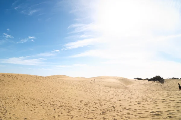 Areia duna deserto textura — Fotografia de Stock