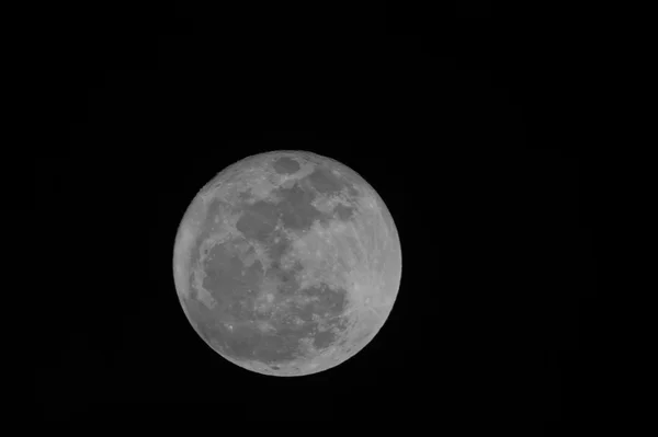 Firest Full Mini Moon 2014 — Fotografie, imagine de stoc
