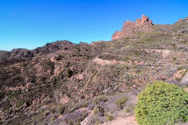 Grundläggande vulkanisk berggrund på Gran Canaria — Stockfoto