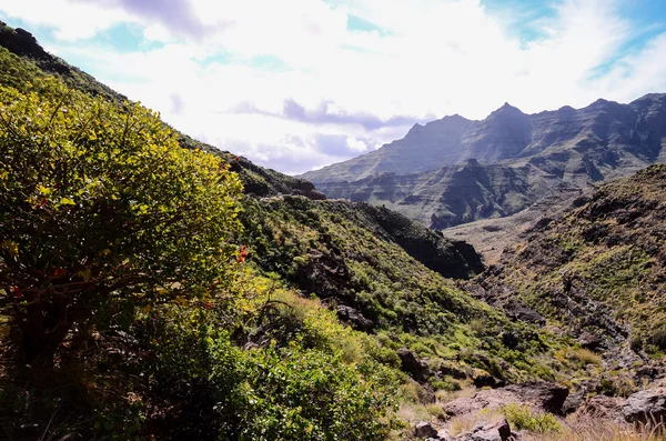 Vulkangestein Basaltische Formation auf Gran Canaria — Stockfoto