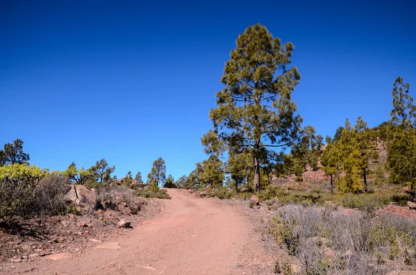 Estrada do deserto — Fotografia de Stock