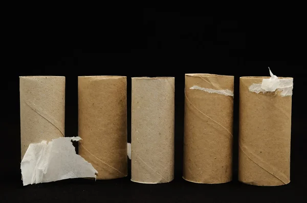 Empty Toilet Paper Roll — Stock Photo, Image