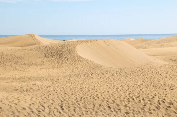 Desierto de dunas de arena —  Fotos de Stock