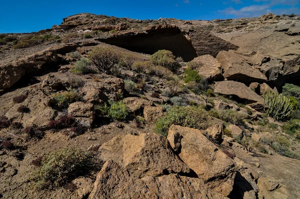 Dry landscape — Stock Photo, Image