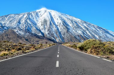 Desert Landscape in Volcan Teide National Park clipart
