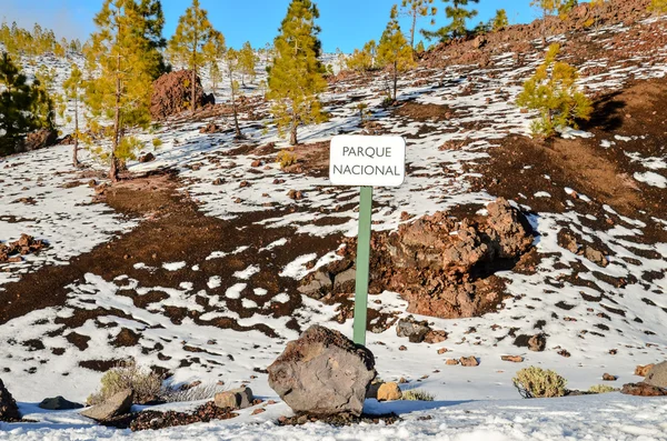 Paesaggio invernale — Foto Stock