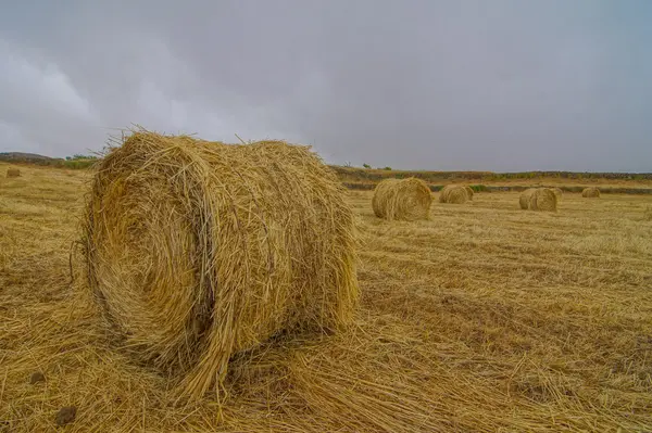 Hay bags — 图库照片