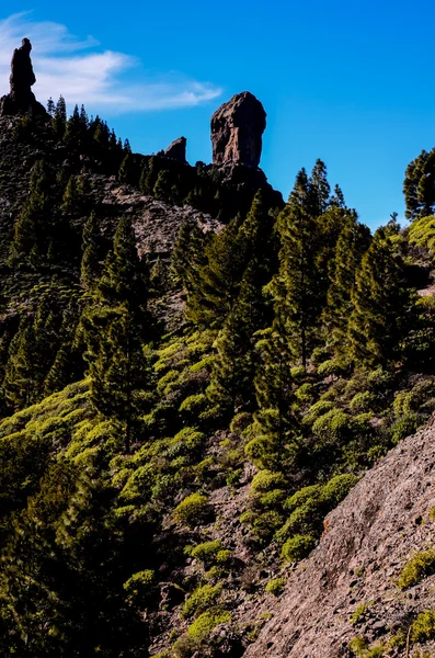 Formazione basaltica di roccia vulcanica a Gran Canaria — Foto Stock