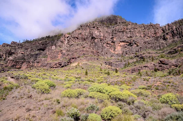 グラン・カナリアの火山岩層 — ストック写真