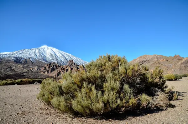 Woestijnlandschap in Nationaal Park Volcan Teide — Stockfoto