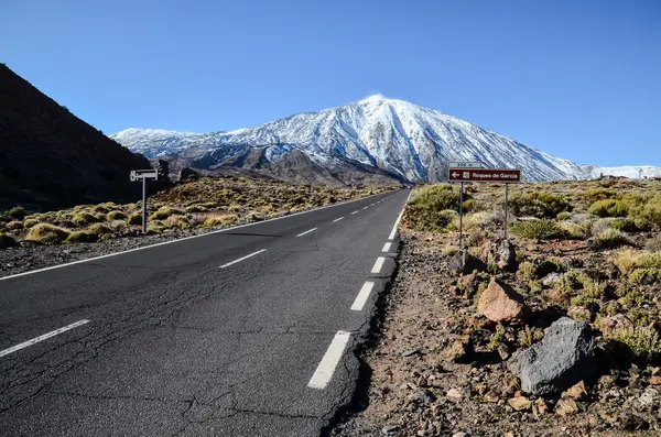 Woestijnlandschap in Nationaal Park Volcan Teide — Stockfoto